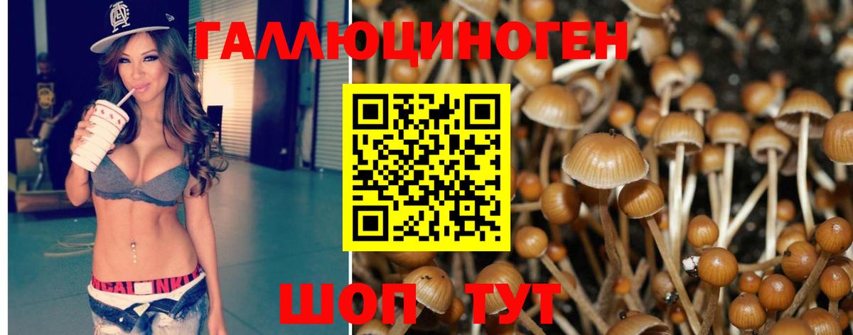 Псилоцибиновые грибы Magic Shrooms  купить наркоту  Ялта  Вход с VPN 
