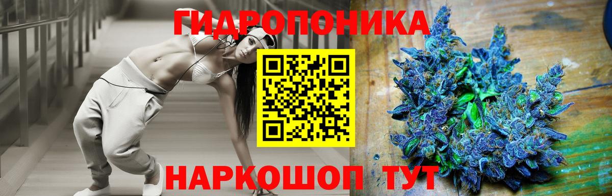Бошки Шишки тримм Ялта